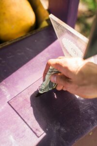 Crowdfunding vs Grants: The Smart Funding Choice for Modern Mission-Driven Organizations