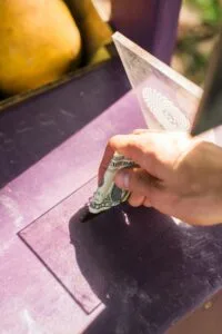 Read more about the article Top 10 Funders That Say YES to Church Programs (and Why)