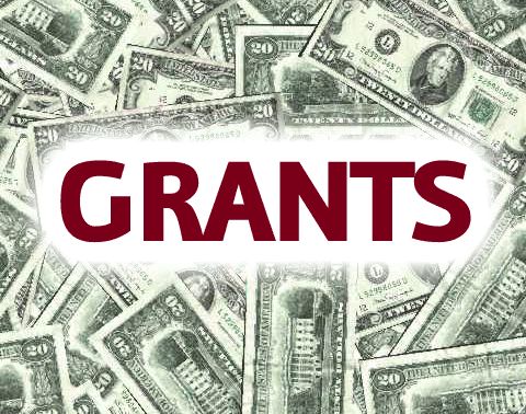 grants without a registered nonprofit
